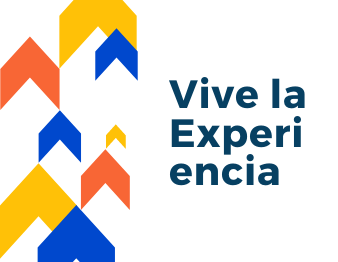 icono-experiencia
